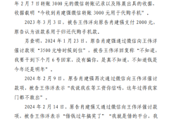 肖建强诉王伟洋民间借贷纠纷案